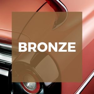 Bronze<br>Mitgliedschaft